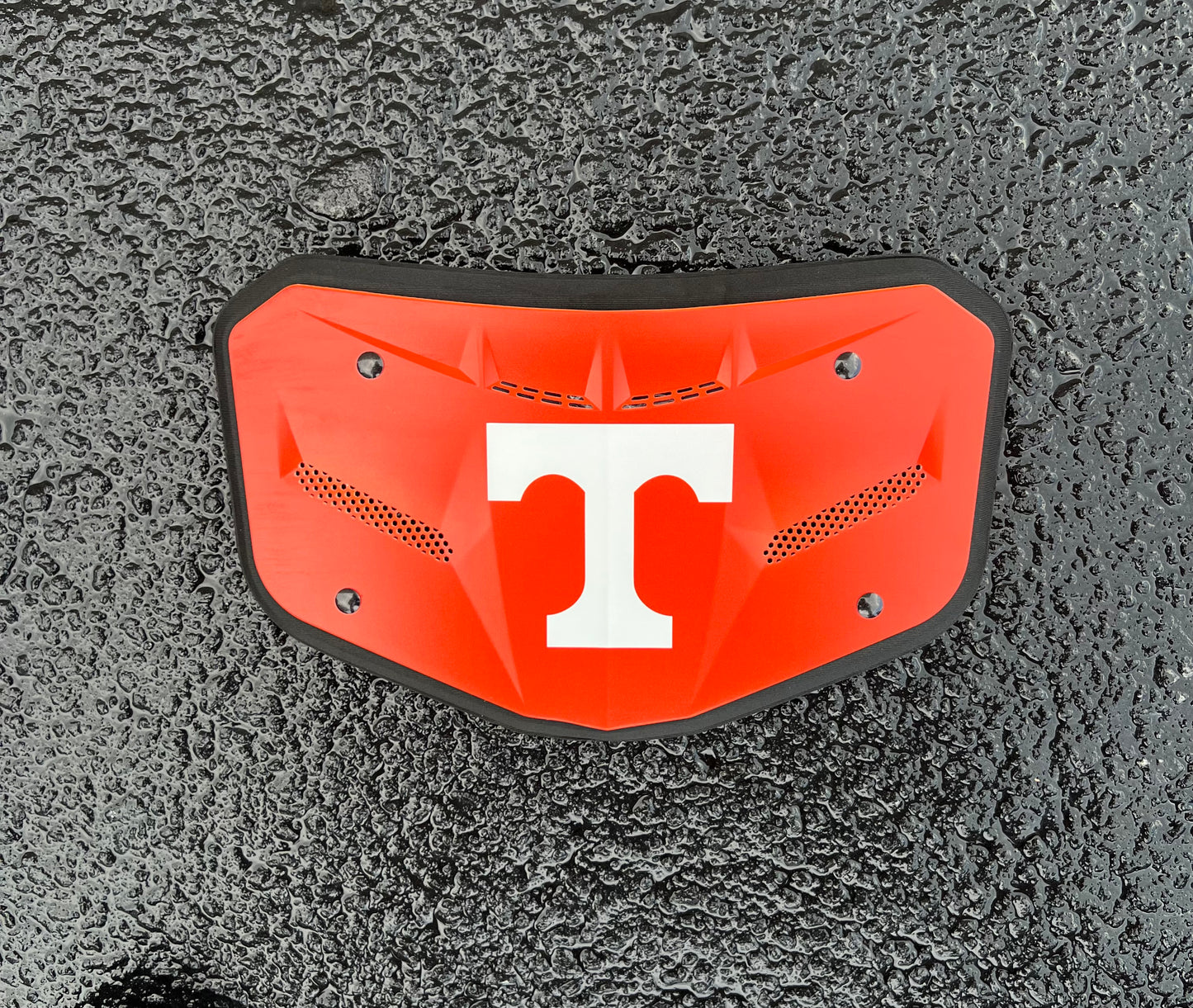 Tennessee Vol ⚡️