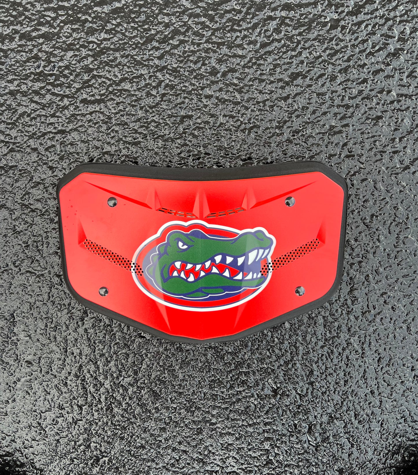 Florida Gators ⚡️