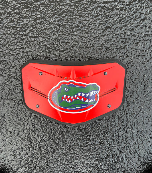 Florida Gators ⚡️