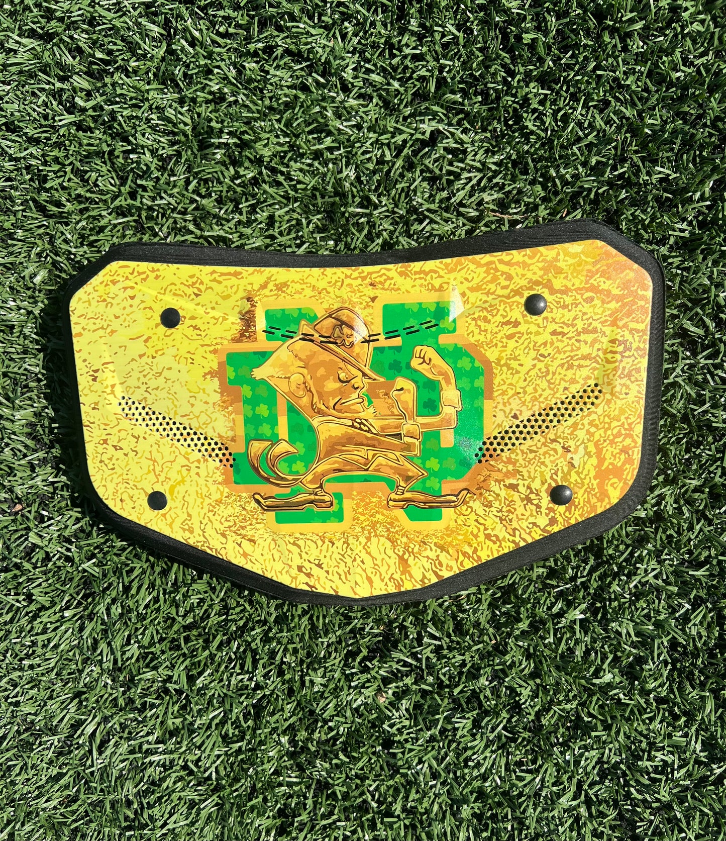 Notre Dame (Gold Irish) ⚡️