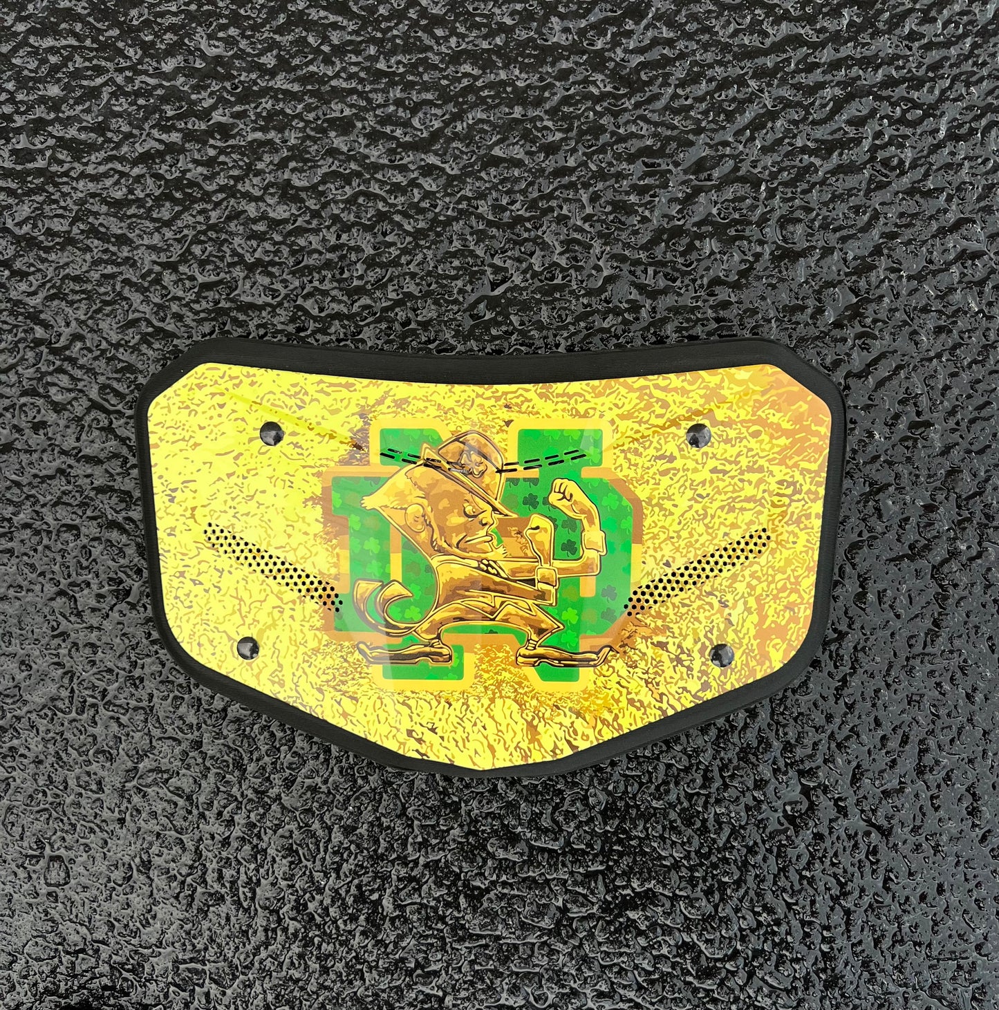 Gold Notre Dame ⚡️